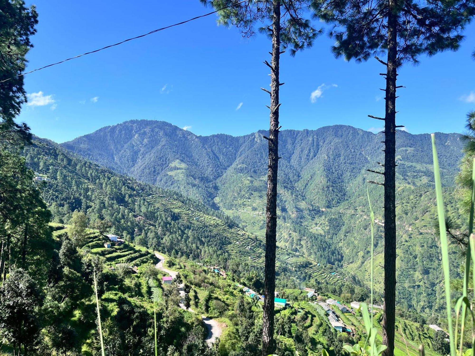 Himalayan Hill Top Resort カナタル エクステリア 写真