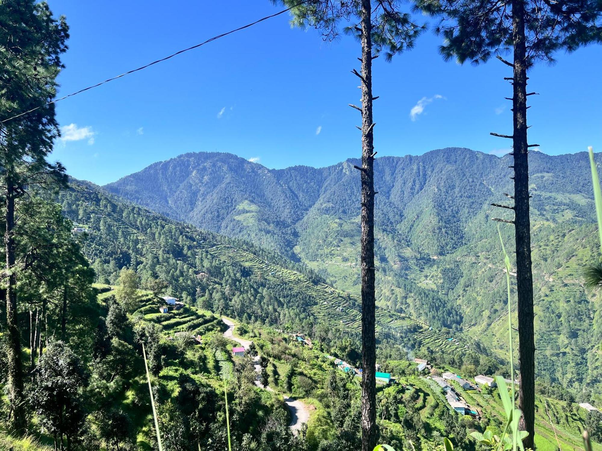 Himalayan Hill Top Resort カナタル エクステリア 写真